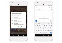 Google Voice Access