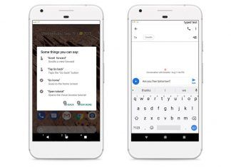 Google Voice Access