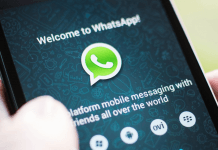 whatsapp business